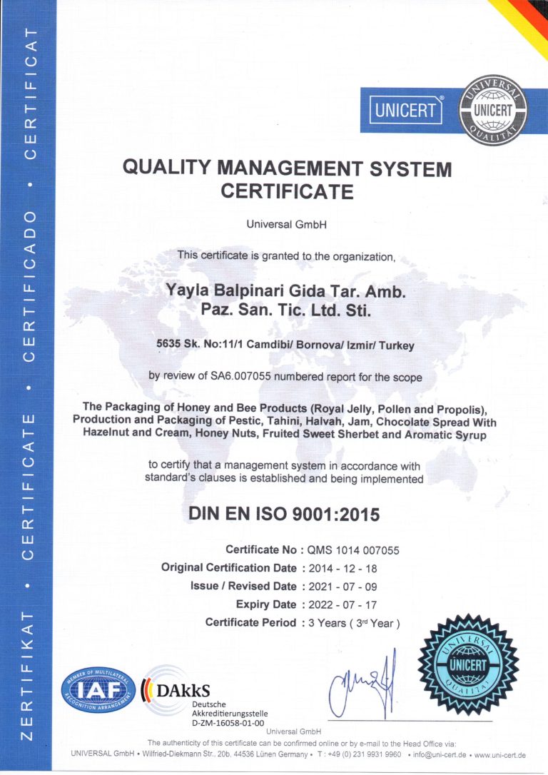 ISO-9001-English-2022-scaled.jpg